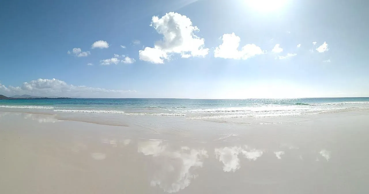 Blue Ocean View Oasis Tamarindo 1 Apartment Corralejo